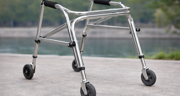 Jasa Pembuatan Posterior Walker